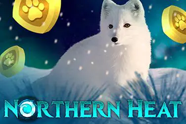 Northern Heat - Spin City - Congo
